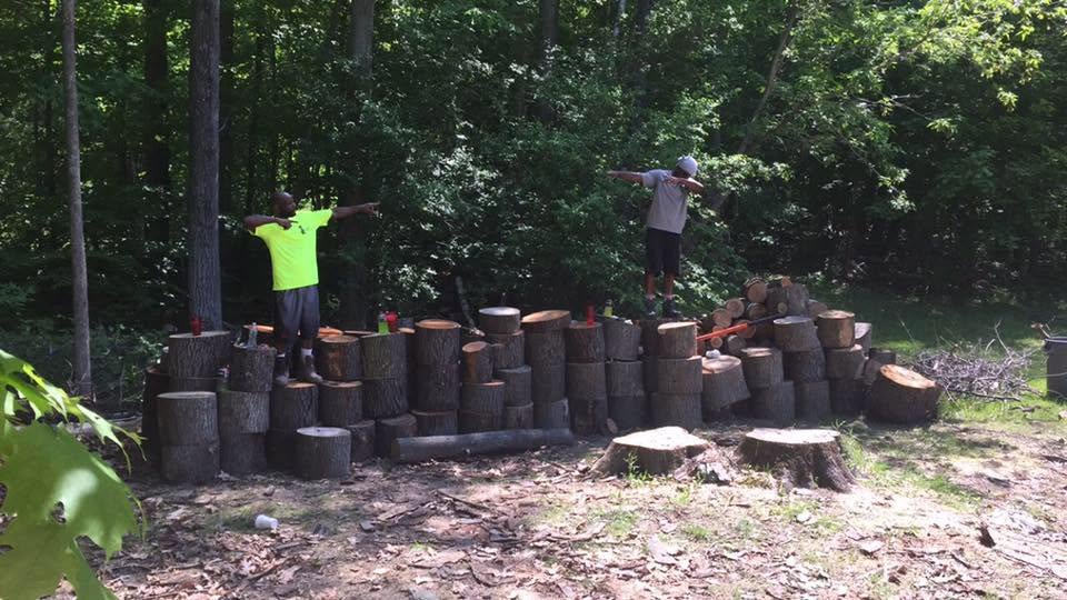 Crew members with stacked tree rounds during a property cleanup