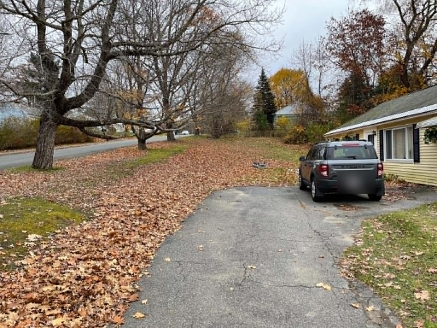 Before: leaves covering the lawn between the driveway and the street at a yellow ranch