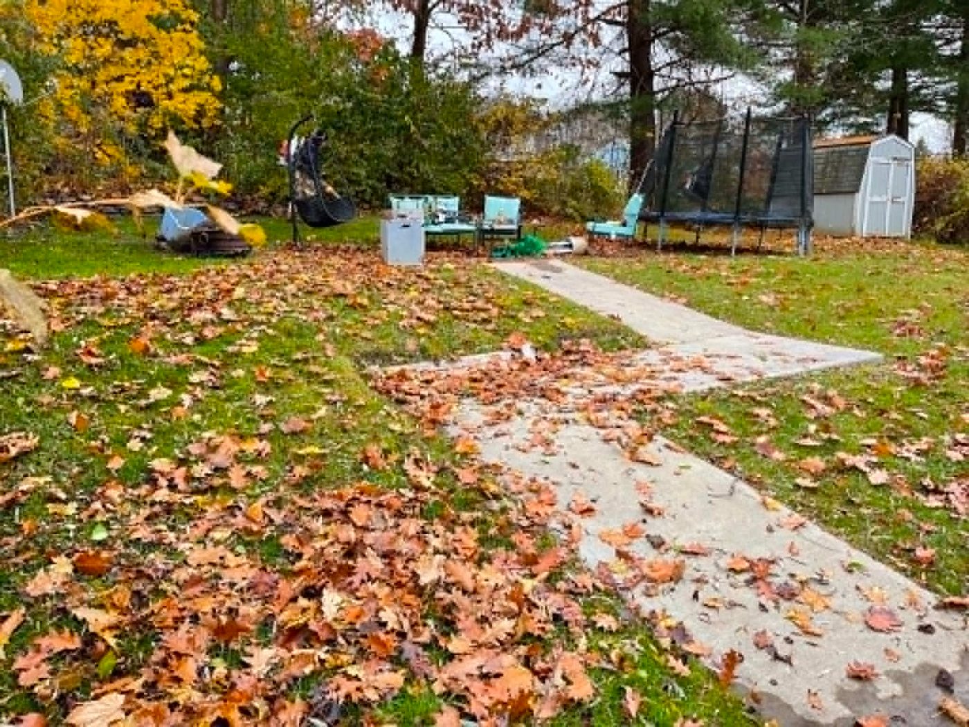 Leaf-covered yard mid-cleanup