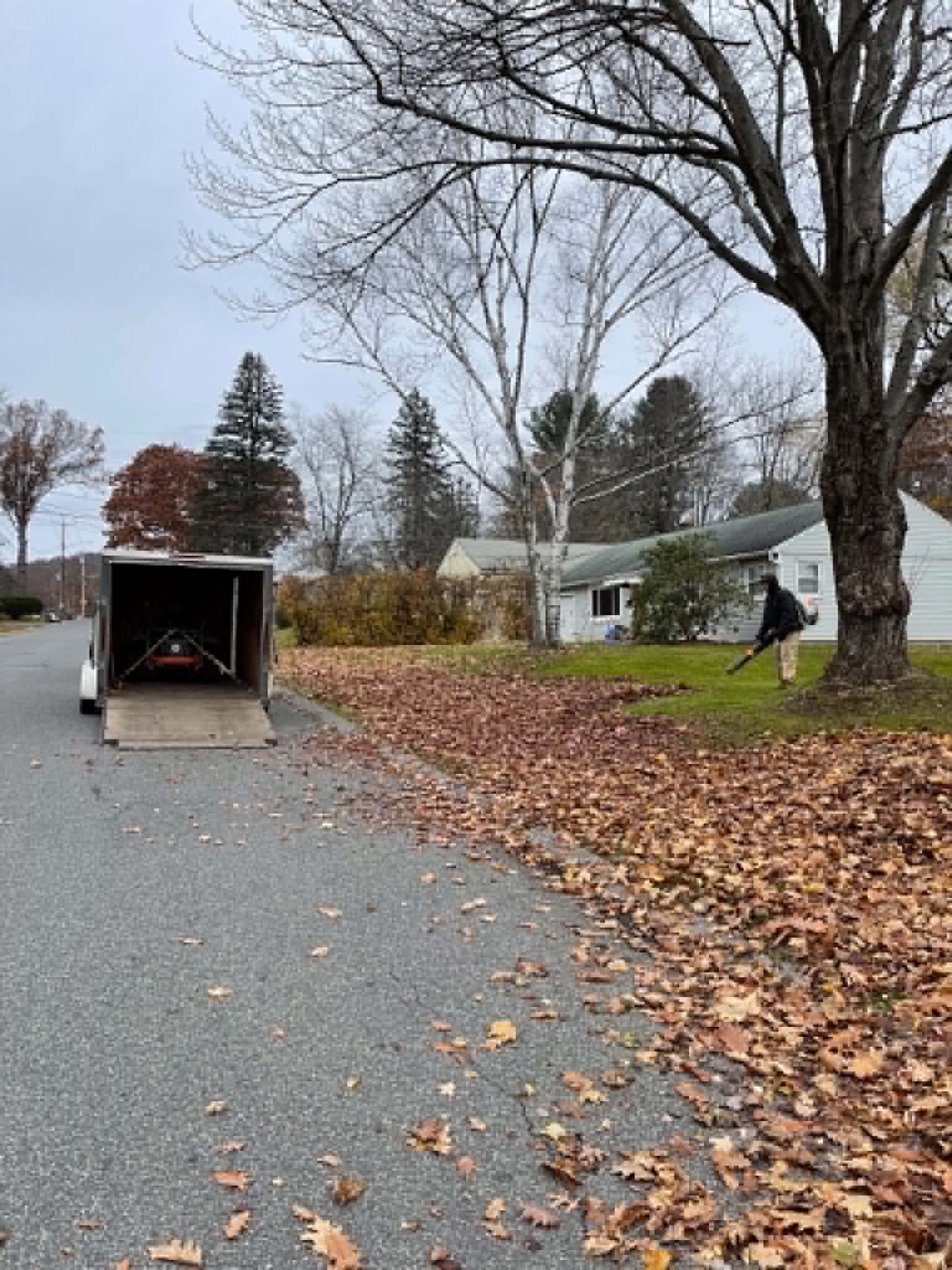 Worker clearing a leaf-covered yard with the open hauling trailer ready at the curb