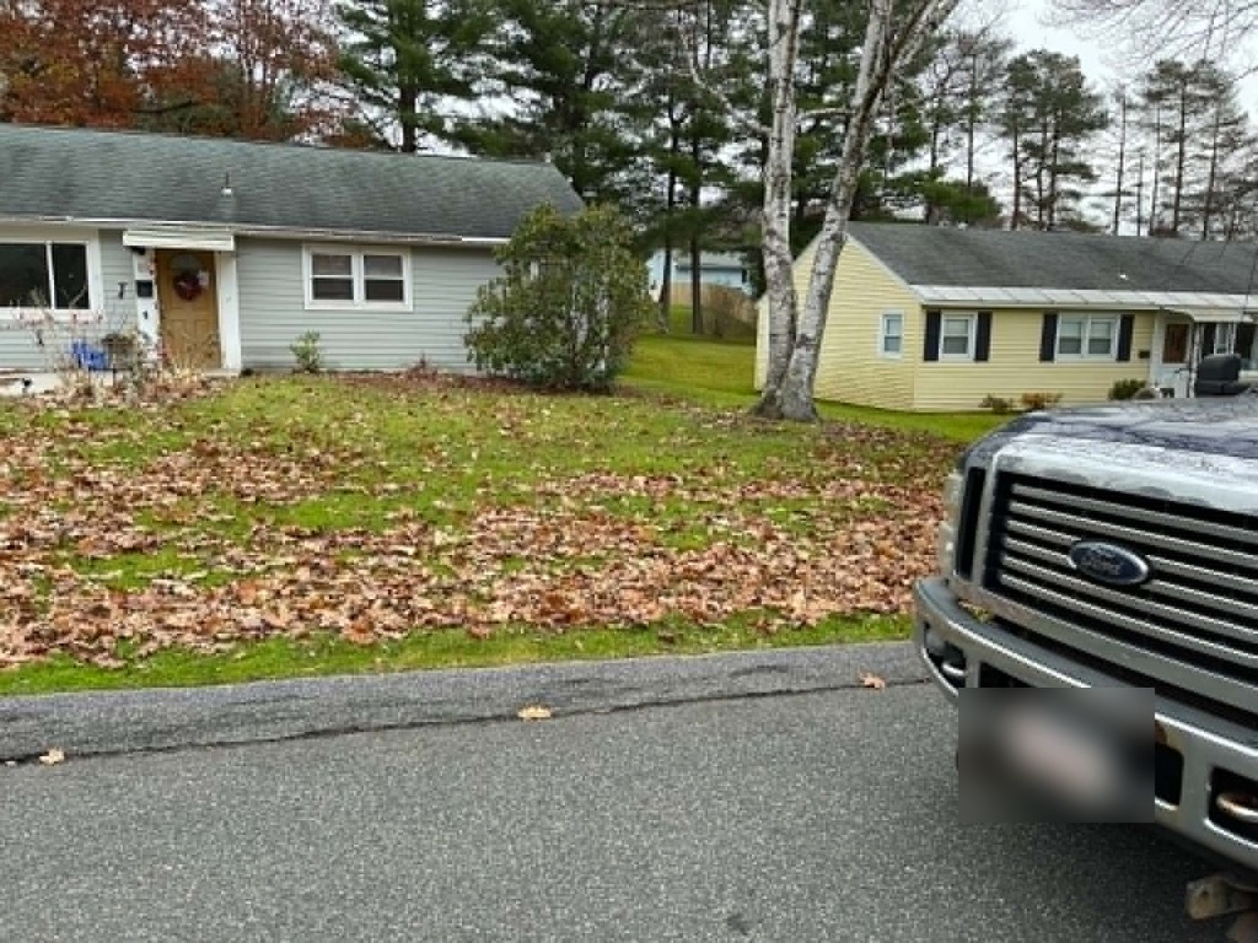 Before: fallen oak leaves covering the front lawn of a gray ranch house