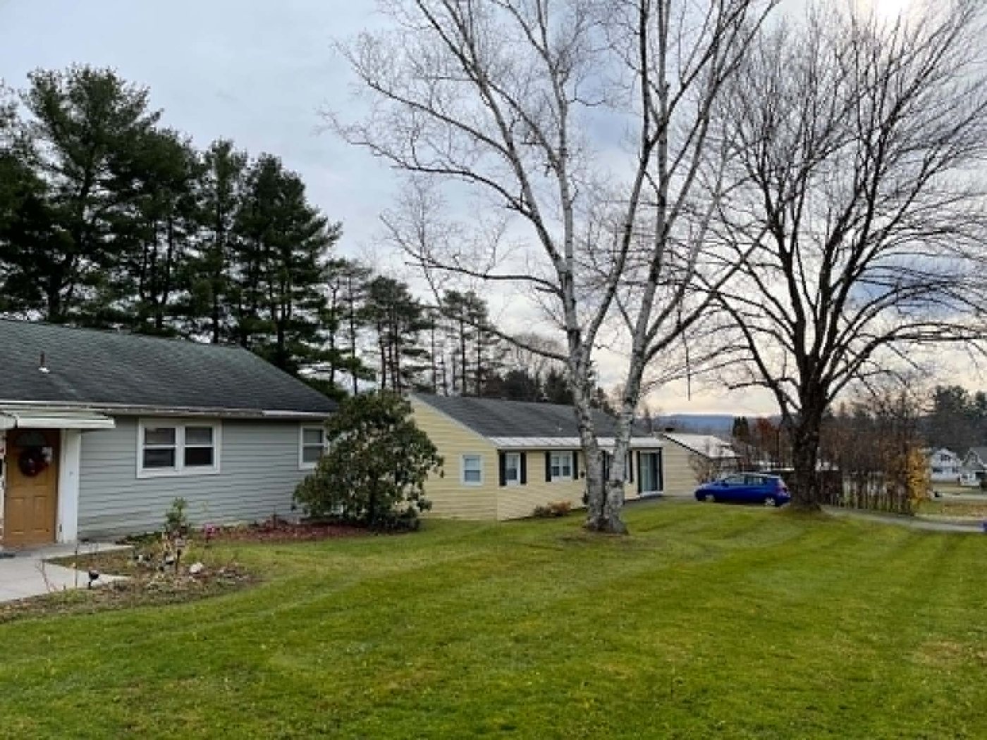 After: the same front lawn cleared of leaves and mowed