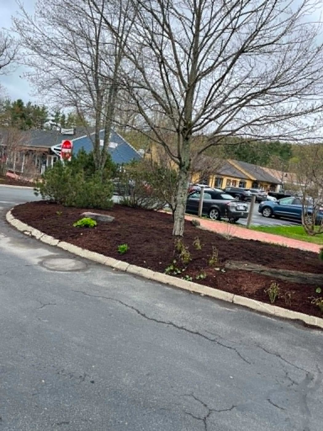 Mulched island beds in a commercial parking area