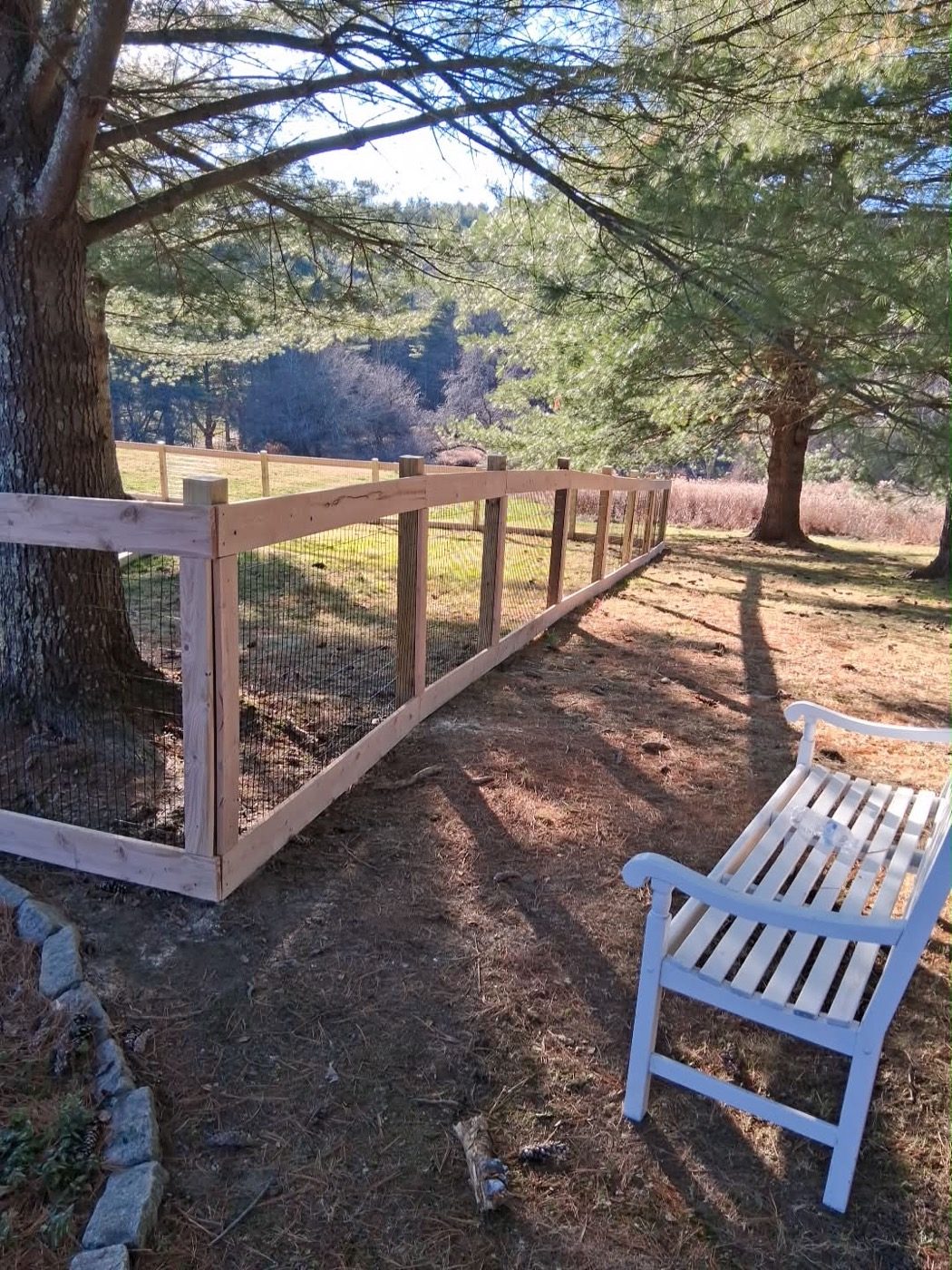 Post-and-rail fence with wire mesh curving beneath white pines, garden bench alongside
