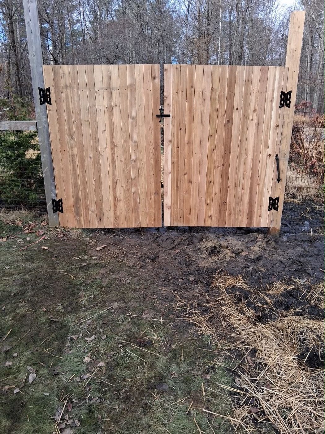 Cedar double gate with black hinges set into a wire-fenced enclosure
