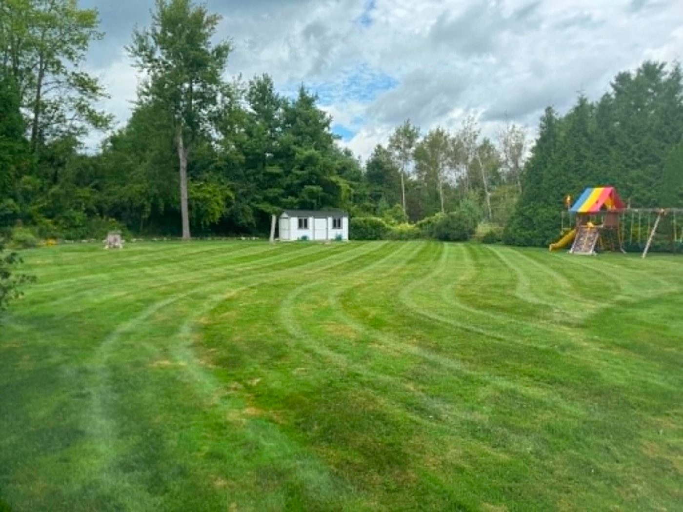 Curved mowing stripes across a large backyard