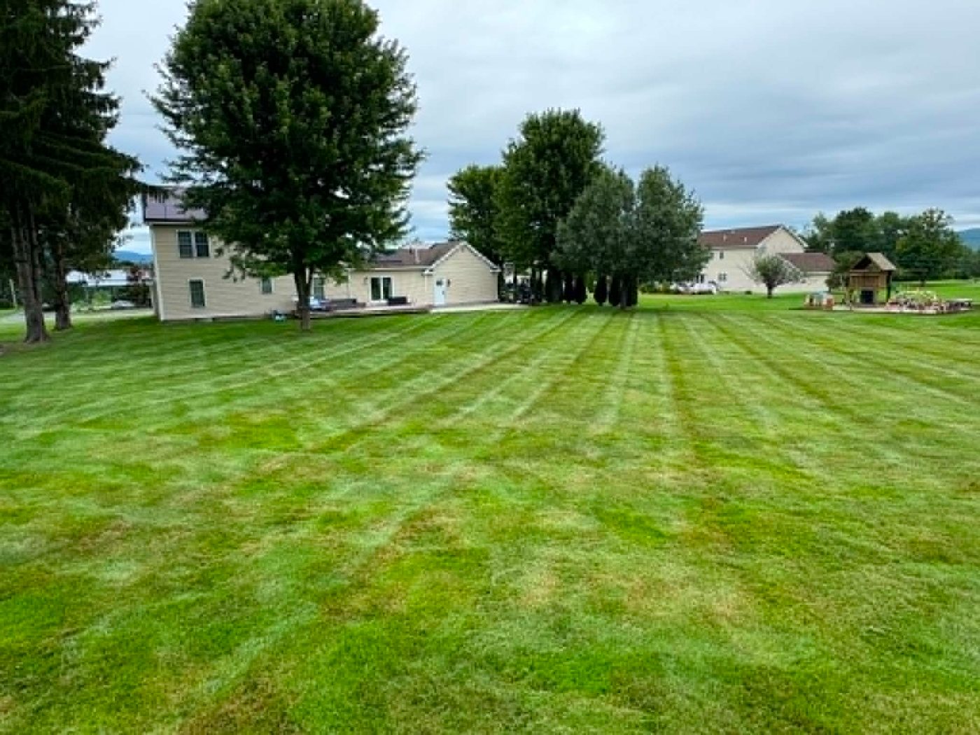 Wide striped lawn behind a family home