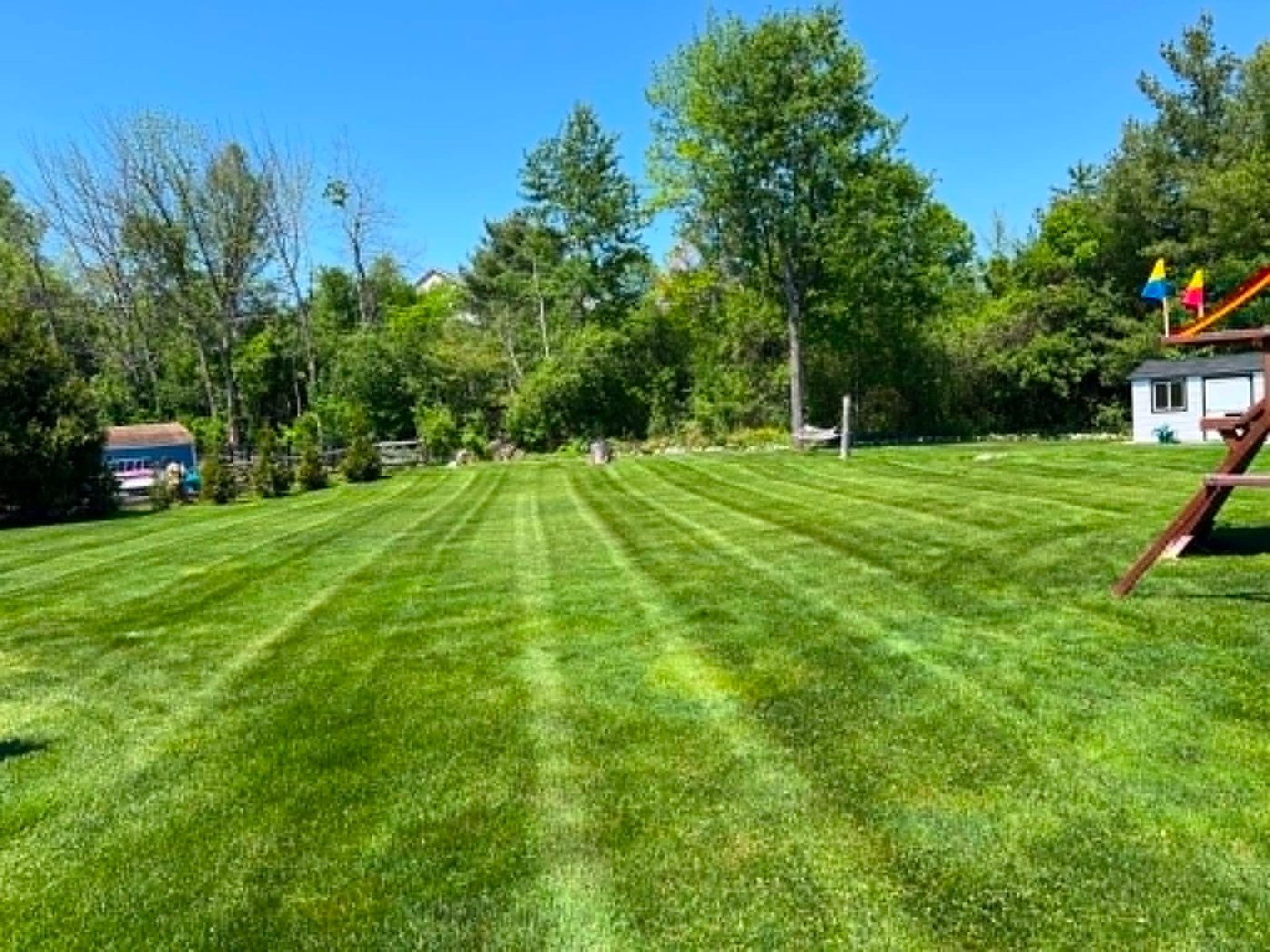 Fresh mowing stripes with a playset in the background