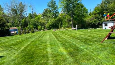 Wide backyard lawn freshly mowed in straight stripes